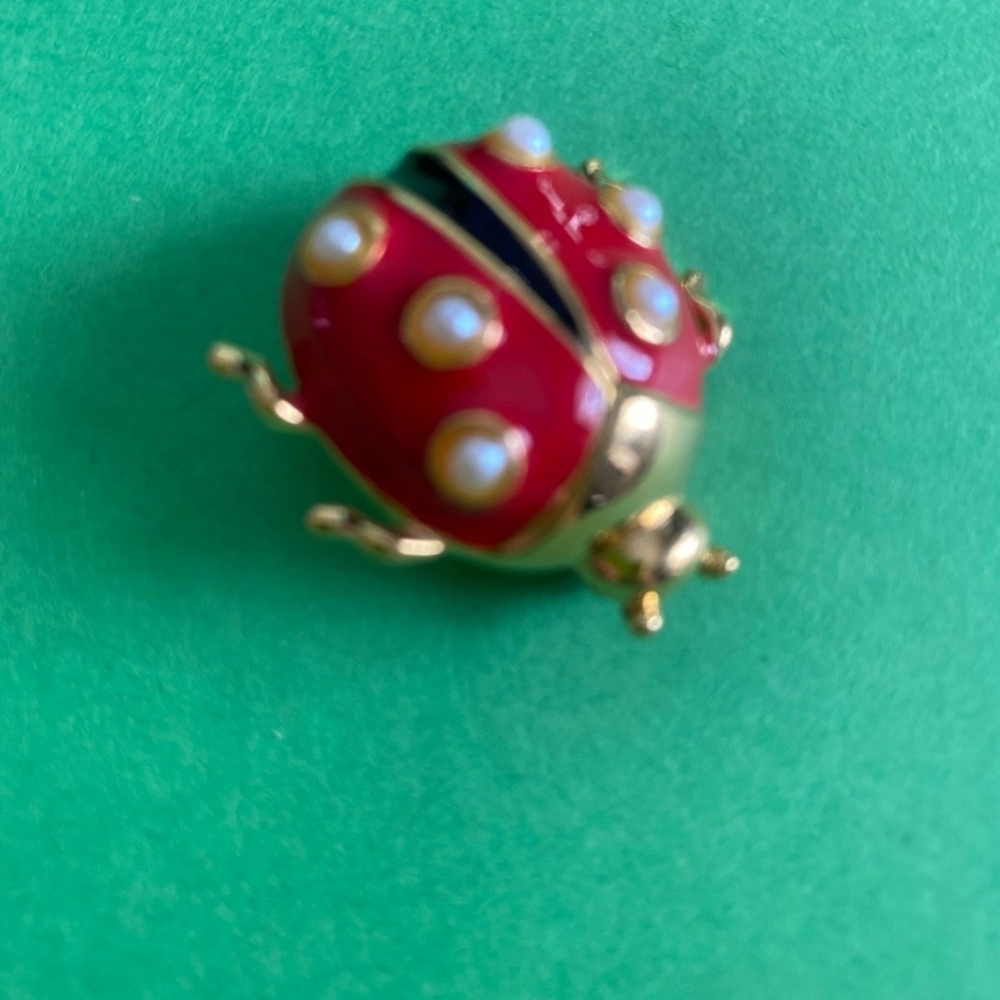 Lady bug